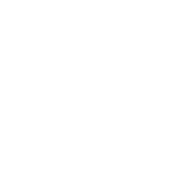 Rectangle-2 (1)